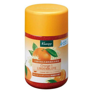 NiCv oX\g IWEfoE@̍ 850g(z敪:A2)