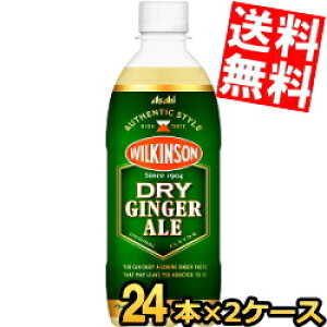 yhCzyzATq EBL\ hCWWG[ 500mlybg{g 48{(24{×2P[X) WW[G[ DRY GINGER ALE h ̂܂܂łނɂ kC800~Ek400
