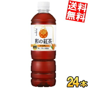 yz ATq a̍g ACXeB[ 500mlybg{g 24{ Xg[geB[ ag Yt100 J[[ kC800~Ek400~̕ʓrZ