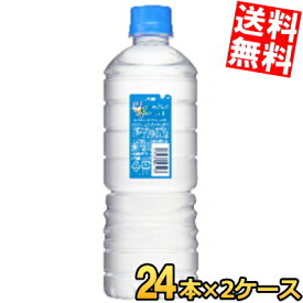 【送料無料】 アサヒ おいしい水 天然水 六甲 シンプルecoラベル 600mlペットボトル 48本(24本×2ケース) ミネラルウォーター 天然水 国産 国産水 軟水 水 ※北海道800円・東北400円の別途送料加算