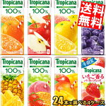 ������̵���ۥ����ȥ��ԥ�����100%���塼��250ml��ѥå����٤�96��(24��&times;4������)���̳�ƻ800�ߡ�����400�ߤ����������û�