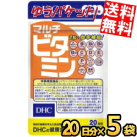 ゆうパケット送料無料 5袋 DHC 20日分 マルチビタミン サプリメント