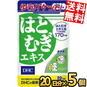 䂤pPbg DHC 20i20j͂ƂނGLX 5 (Tvg)