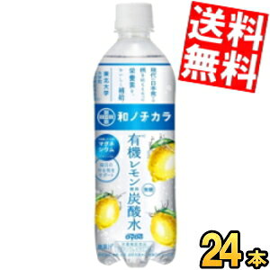 Ԍyz _Ch[ am`J L@gp Y_ 500mlybg{g 24{ Xp[NOEH[^[ h{@\Hi Y_ kC800~Ek400~̕ʓr