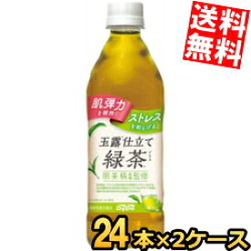 【送料無料】 機能性表示食品 ダイドー 肌美精監修 玉露仕立て緑茶プラス 500mlペットボトル 48本(24本×2ケース) お茶 肌弾力を維持 ストレスを和らげる ※北海道800円・東北400円の別途送料加算