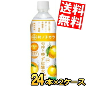 Ԍyz _Ch[ am`J { 䂸Y_ 500mlybg{g 48{(24{×2P[X) Xp[NOEH[^[ h{@\Hi Y_ kC800~Ek400~̕ʓr