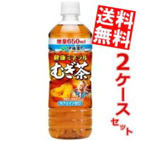 【送料無料】 伊藤園 健康ミネラルむぎ茶 650mlペットボトル 48本(24本×2ケース) ミネラル麦茶 ※北海道800円・東北400円の別途送料加算