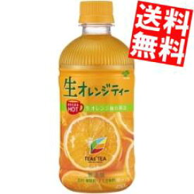 【送料無料】伊藤園【HOT用】TEAS’ TEA(ティーズティー) NEW AUTHENTIC 生オレンジティー450mlペットボトル 24本入[フルーツティー 紅茶]※北海道800円・東北400円の別途送料加算