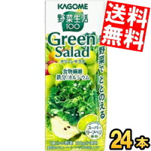 yz JS ؐ100 O[T_ 200mlpbN 24{ ؃W[X X[p[[txWgp green salad H@ S JVE kC800~Ek400~̕ʓrZ