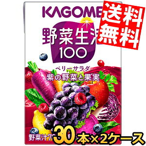 yz JS ؐ100x[T_ 100mlpbN 60{(30{×2P[X) ؃W[X kC800~Ek400~̕ʓrZ