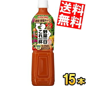 yzJS؈t720gX}[gybg{g 15{kC800~Ek400~̕ʓrZ