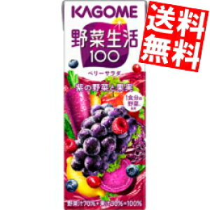 yzJS ؐ100 x[T_ 200mlpbN 24{ (؃W[X GiW[[c)