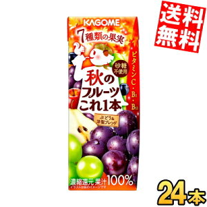 92yzyH̊Ԍiz JS H̃t[c{ Ԃǂmuh 200mlpbN 96{(24{×4P[X) H kC800~Ek400~̕ʓrZ
