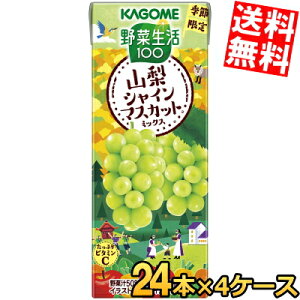 【送料無料】 カゴメ 野菜生活100 山梨シャインマスカットミックス 195ml紙パック 96本(24本×4ケース) 季節限定 野菜ジュース やさいジュース ※北海道800円・東北400円の別途送料加算