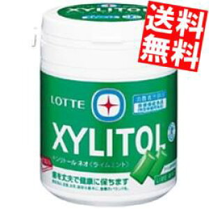 yzbe LVg[KC~g t@~[{g143g×6{gkLVg[K hZNV gNz  یpHilkC800~Ek400~̕