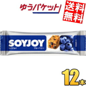 �䂤�p�P�b�g�������� ��ː��� SOYJOY�i�\�C�W���C�j �u���[�x���[ 12�{��