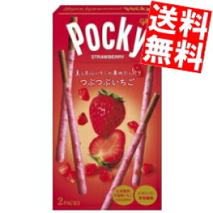 yz OR ԂԂ|bL[ 20(10×2Zbg) kC800~Ek400~̕ʓrZ