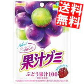 【送料無料】 明治 54g果汁グミ ぶどう 40袋(10袋×4セット) ※北海道800円・東北400円の別途送料加算