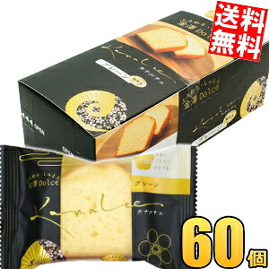 P[X̔yz VZ Ji`F v[P[L 60 (10×6P[X) Vh`F h`F pEhP[L mَq XC[c  yY ݂₰ i kC800