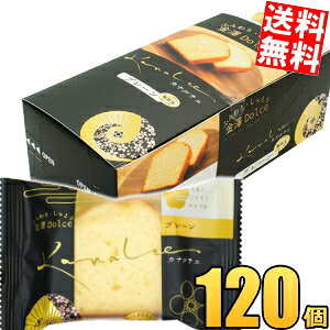 2P[X̔yz VZ Ji`F v[P[L 120(10×12P[X) Vh`F h`F pEhP[L mَq XC[c  yY i kC800~Ek