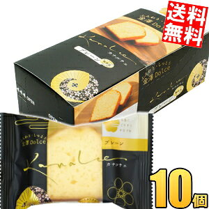 yz VZ Ji`F v[P[L 10 Vh`F h`F pEhP[L mَq XC[c  yY ݂₰ i kC800~Ek400~̕ʓr