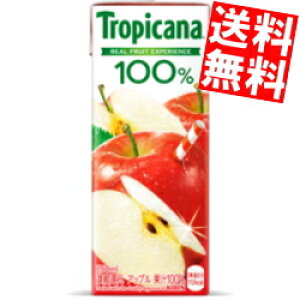 yz L gsJ[i100 Abv 250mlpbN 48{(24{×2P[X) ʏ`100W[X  kC800~Ek400~̕ʓrZ kirin2023cp