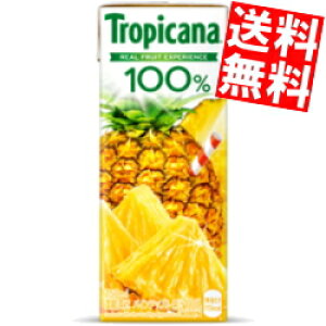 yz L gsJ[i100% pCAbv 250mlpbN 48{(24{×2P[X) ʏ`100% W[X pCibv kC800~Ek400~̕ʓrZ kirin2023cp