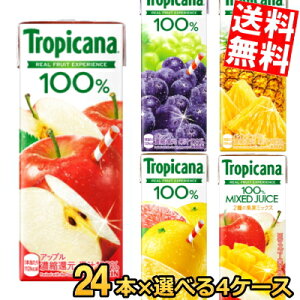 yz L gsJ[i100%W[X Y 48̖ t@CAS[hbV 200~250mlpbN Iׂ96{(24{×4P[X) tropicana W[X ؃W[X R[q[ FIRE kC80