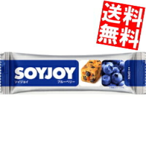�y���������z ��ː��� SOYJOY�i�\�C�W���C�j �u���[�x���[ 48�{�� ���k�C��800�~�E���k400�~�̕ʓr�������Z