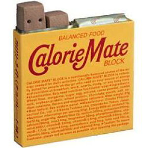 【送料無料】 大塚製薬 4本入カロリーメイト ブロック チョコレート味 10箱入 ※北海道800円・東北400円の別途送料加算