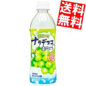 yzTKAԂԃi^fRR蔒Ԃǂ500mlybg{g 24{kC800~Ek400~̕ʓrZ