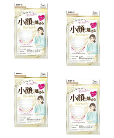 【送料込・まとめ買い×4】白元アース ビースタイル 小顔に魅せる 女性用 マスク 5枚入×4点セット　プレミアム ホワイト　ふつう サイズ プリーツタイプ マスク （90X165mm）（4902407582317）