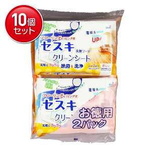 yňI܂Ƃߔ×10_ZbgzFa ZXLY_\[_ N[V[g rOp 22×2pbN |V[g