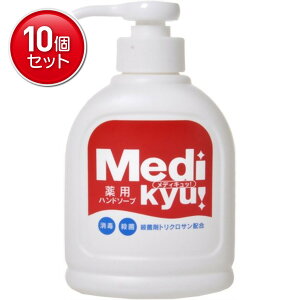 yňI܂Ƃߔ×10_ZbgzGIA pnh\[v fBLb 250ml@ ܂Ƃߔ! ( 4571113806125 )