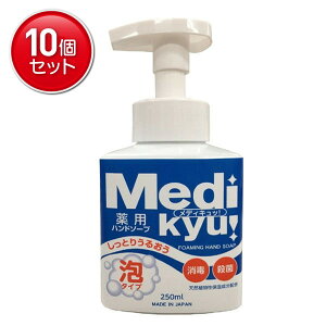 yňI܂Ƃߔ×10_ZbgzGIA pnh\[v fBLb A^Cv 250ml@ ܂Ƃߔ! ( 4571113806477 )