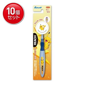 yňI܂Ƃߔ×10_ZbgzXet@j[ [` v~ALbYz_[t ͂p uV ӂ