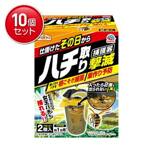 yňI܂Ƃߔ×10_ZbgzA[X A[XK[f n`茂 ߊl^Cv 2