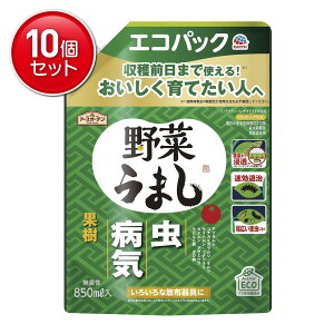 yňI܂Ƃߔ×10_ZbgzA[X A[XK[f ؂܂ GRpbN 850mL