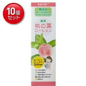 yňI܂Ƃߔ×10_ZbgzIai p ̗t[V 300ml @(4901180019478)