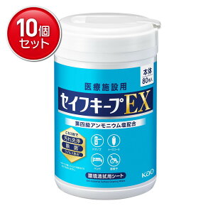 yňI܂Ƃߔ×10_ZbgzԉvtFbVi ZCtL[vEX { 80 Î{ݗp @pV[g