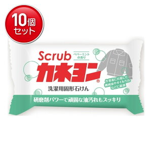 yňI܂Ƃߔ×10_ZbgzJlΌ XNuJl yp[~g̍ 110g p Ō`΂