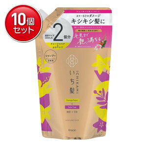 yňI܂Ƃߔ×10_ZbgzNVG  _[WyA&J[PA Vv[ l֗p 2 660ml