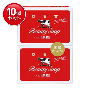 yňI܂Ƃߔ×10_ZbgzΌi JEuh Ƃ Ԕ Ƒ傫 125g×2R