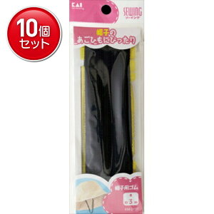 yňI܂Ƃߔ×10_ZbgzL XqpS  (ЂʂEKt) 3m KM3137@(4901601284928)