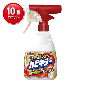 yňI܂Ƃߔ×10_ZbgzW\ JrL[ NN A˃WFbg 400g CpJr