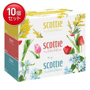 yňI܂Ƃߔ×10_Zbgz{NVA XRbeB t[{bNX 250g×3 {bNXeBbV