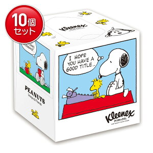 yňI܂Ƃߔ×10_Zbgz{NVA NlbNX eBV[ Xk[s[ 160(80g)