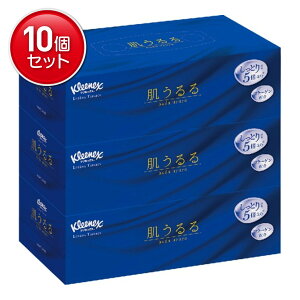 yňI܂Ƃߔ×10_Zbgz{NVA NlbNX eBV[ [V  3pbN