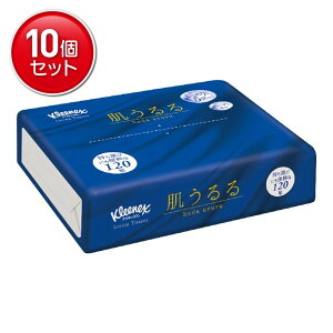 yňI܂Ƃߔ×10_Zbgz{NVA NlbNX eBV[ [V  \tgpbN 120g