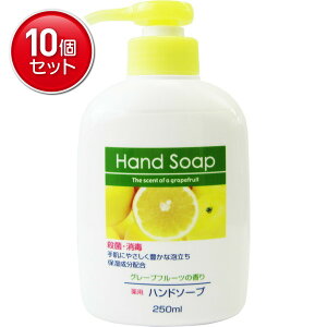 yňI܂Ƃߔ×10_ZbgzΌ p nh\[v { 250ML 򕔊Oi ( 4902050556239 )